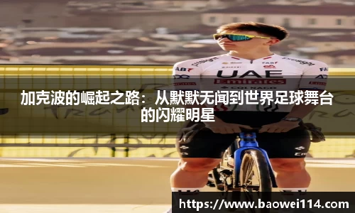 YY易游体育