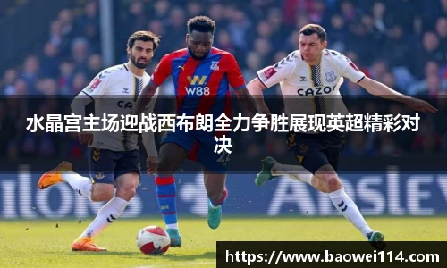 YY体育